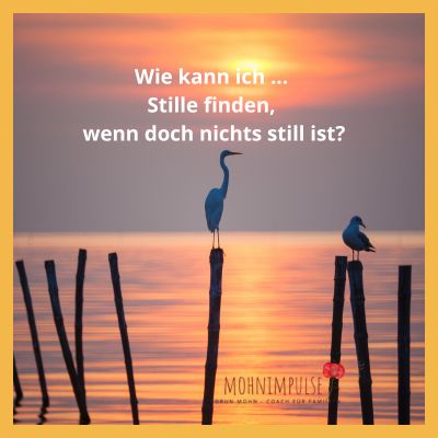 Stille am Morgen Gudrun Mohn Stille am Morgen